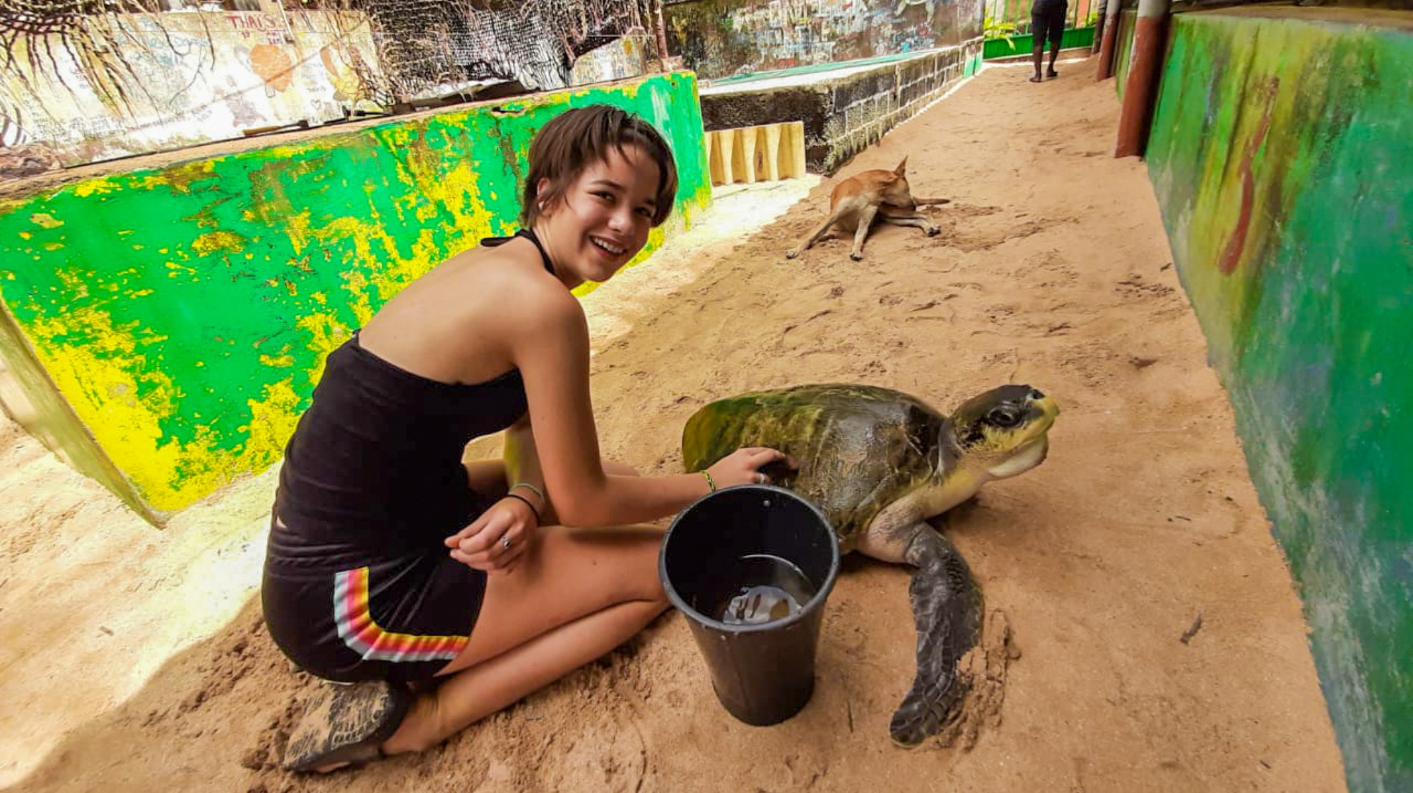 Turtle Conservation: Sri Lanka